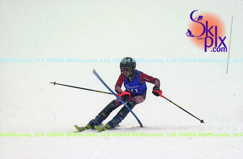 Image ID is DSC_8202.jpg