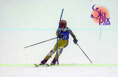 Image ID is DSC_8203.jpg