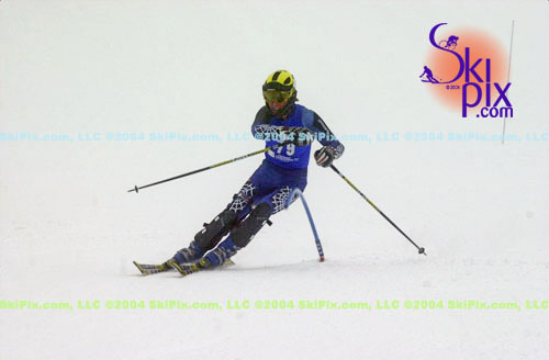 Image ID is DSC_8206.jpg