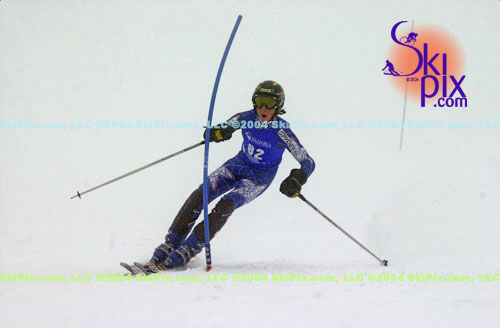 Image ID is DSC_8208.jpg