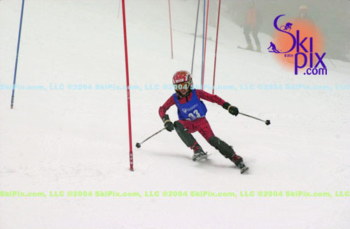 Image ID is DSC_8131.jpg