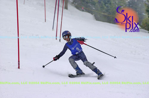 Image ID is DSC_8015.jpg