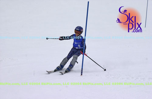 Image ID is DSC_8016.jpg