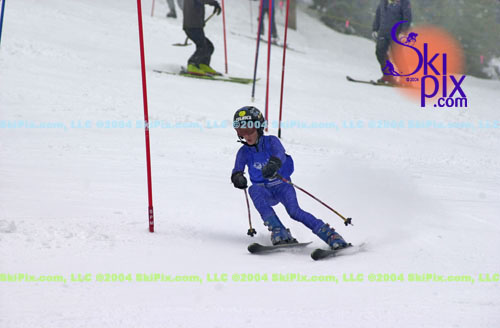 Image ID is DSC_8019.jpg