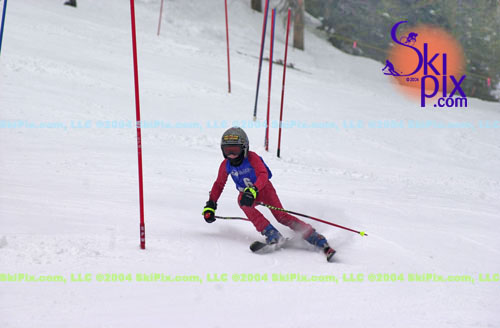 Image ID is DSC_8023.jpg