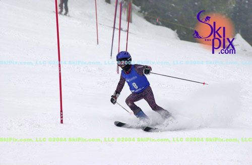 Image ID is DSC_8027.jpg