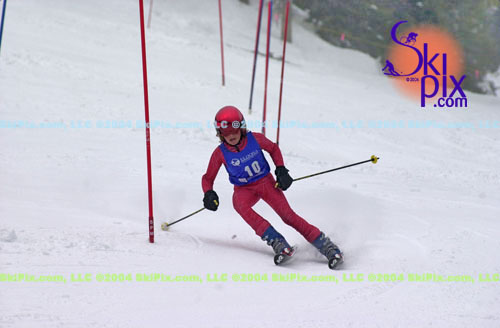 Image ID is DSC_8031.jpg