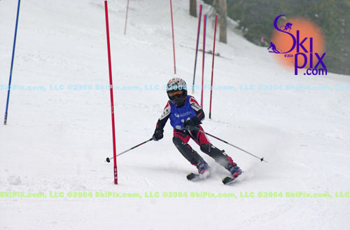 Image ID is DSC_8033.jpg