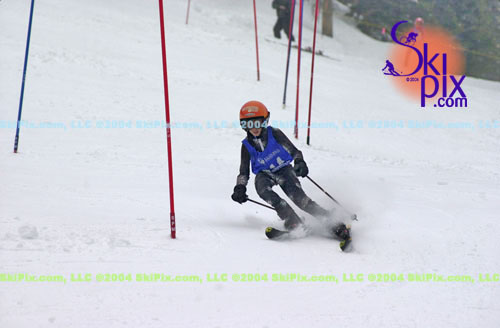 Image ID is DSC_8037.jpg