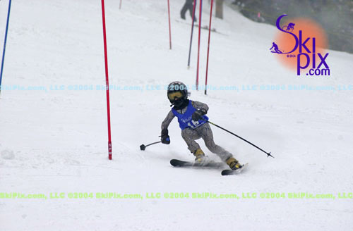 Image ID is DSC_8039.jpg