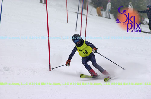 Image ID is DSC_8081.jpg