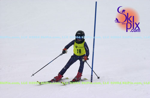 Image ID is DSC_8082.jpg