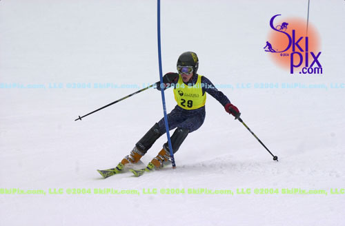 Image ID is DSC_8104.jpg