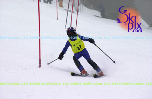 Image ID is DSC_8119.jpg