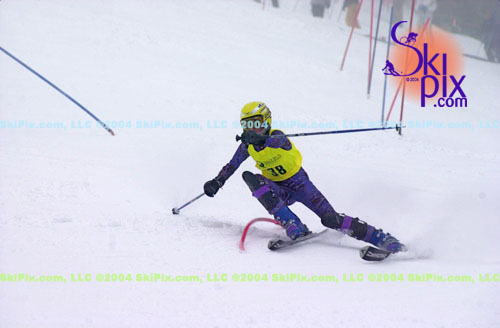 Image ID is DSC_8121.jpg