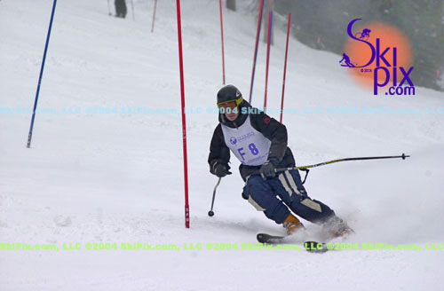 Image ID is DSC_7985.jpg