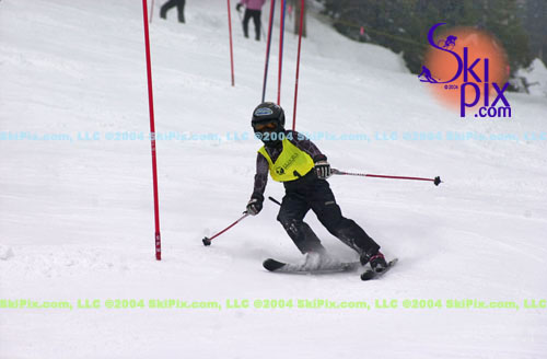 Image ID is DSC_7987.jpg