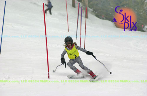 Image ID is DSC_7991.jpg