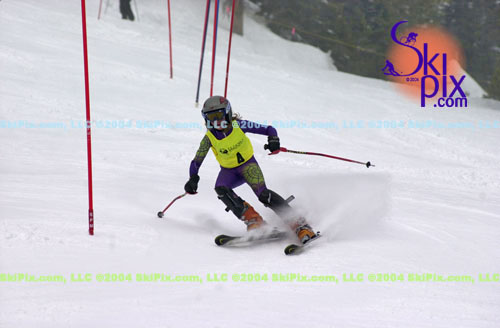 Image ID is DSC_7993.jpg