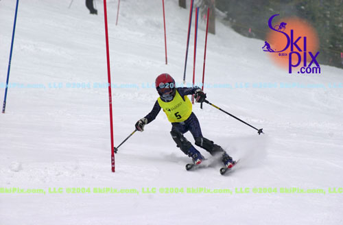 Image ID is DSC_7995.jpg