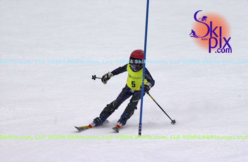 Image ID is DSC_7996.jpg