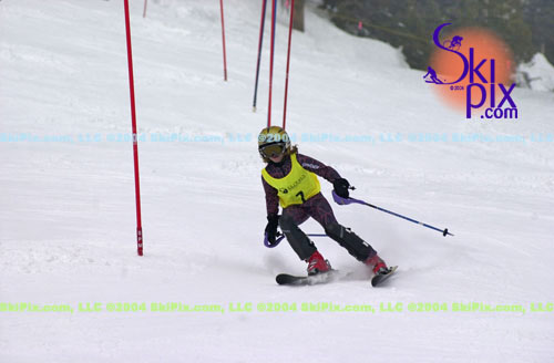 Image ID is DSC_7999.jpg