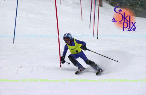 Image ID is DSC_8003.jpg