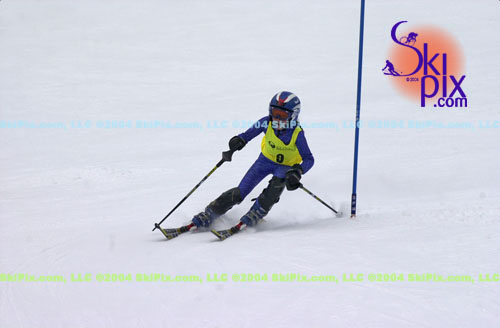 Image ID is DSC_8004.jpg