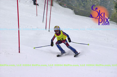 Image ID is DSC_8005.jpg