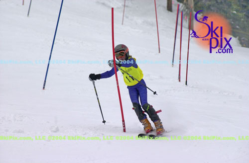 Image ID is DSC_8007.jpg