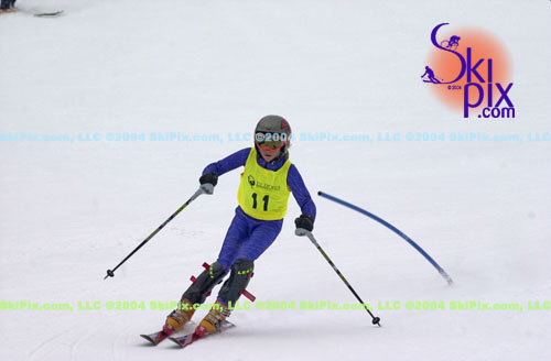 Image ID is DSC_8008.jpg