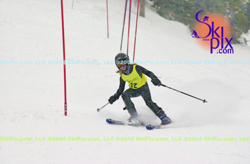 Image ID is DSC_8009.jpg