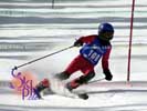 Image ID is DSC_2677.jpg