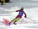 Image ID is DSC_2690.jpg