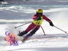 Image ID is DSC_2703.jpg