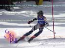 Image ID is DSC_2704.jpg