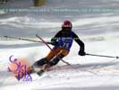 Image ID is DSC_2706.jpg