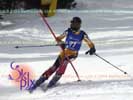 Image ID is DSC_2710.jpg
