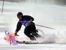 Image ID is DSC_2723.jpg