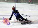 Image ID is DSC_2728.jpg