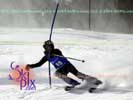 Image ID is DSC_2730.jpg