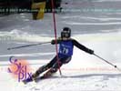 Image ID is DSC_2733.jpg