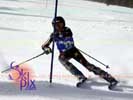 Image ID is DSC_2631.jpg