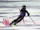 Image ID is DSC_2636.jpg