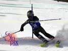 Image ID is DSC_2637.jpg