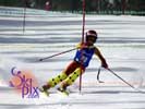 Image ID is DSC_2645.jpg