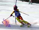Image ID is DSC_2646.jpg