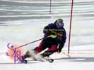 Image ID is DSC_2573.jpg