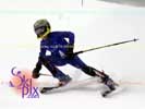 Image ID is DSC_2582.jpg