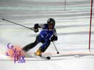 Image ID is DSC_2585.jpg